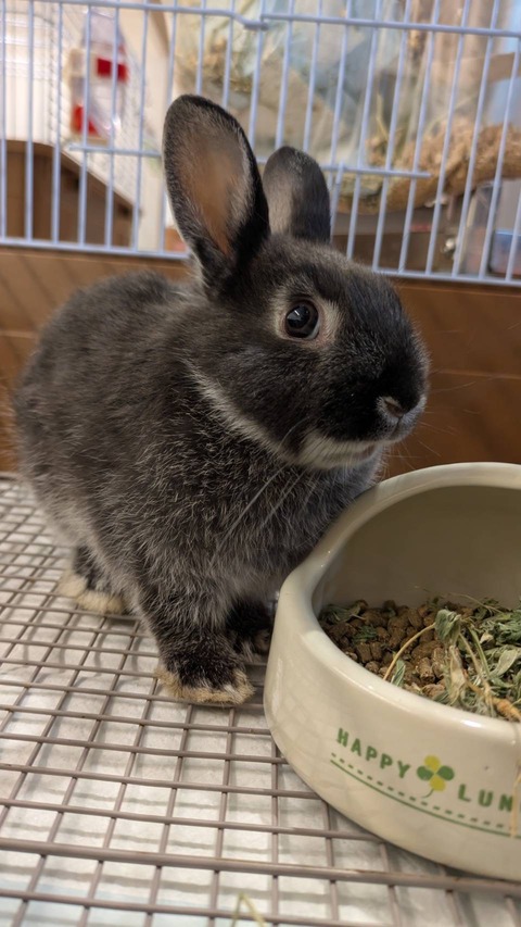 待ってました♡ネザーちゃん♡