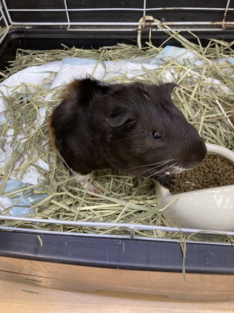 もるもっと