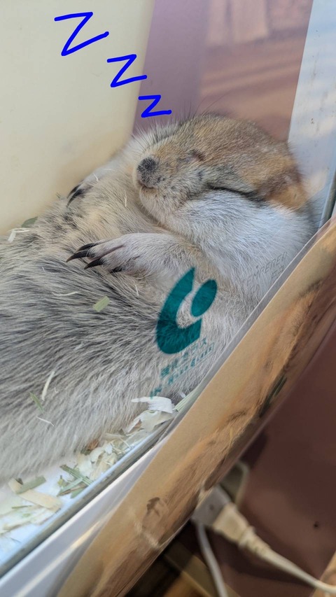 家族募集🫶🏼✨