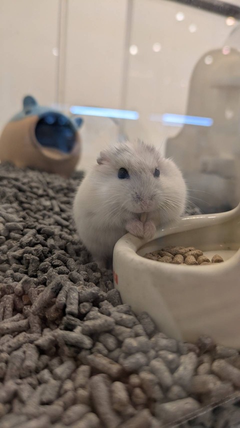 在籍中の小動達🫶🏼