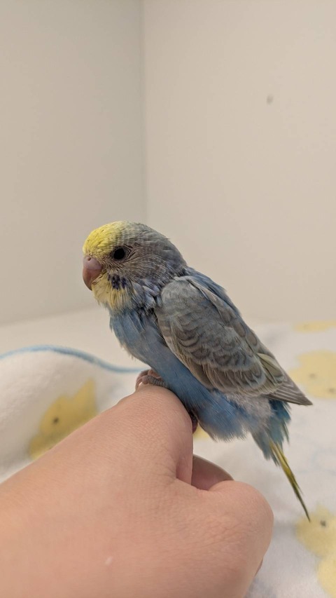 寄り添えばぬっくぬく☺️🧡