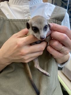 新しい子仲間入り(*´ω｀)