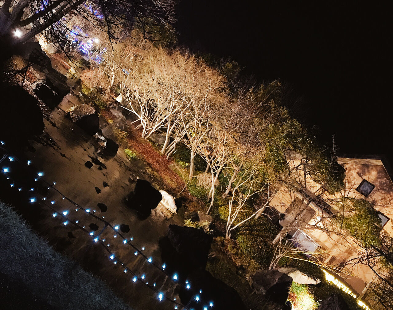 花粉の時期 滋賀県彦根市 ペットショップワンラブ彦根店のblog