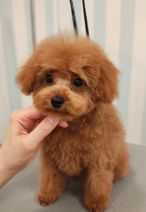 IMG_20251125_111141764_PORTRAIT