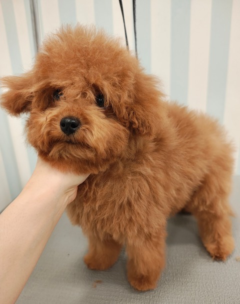 IMG_20251125_105125041_HDR