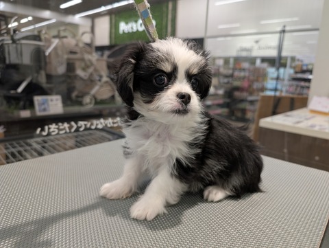 PXL_20251107_001449220