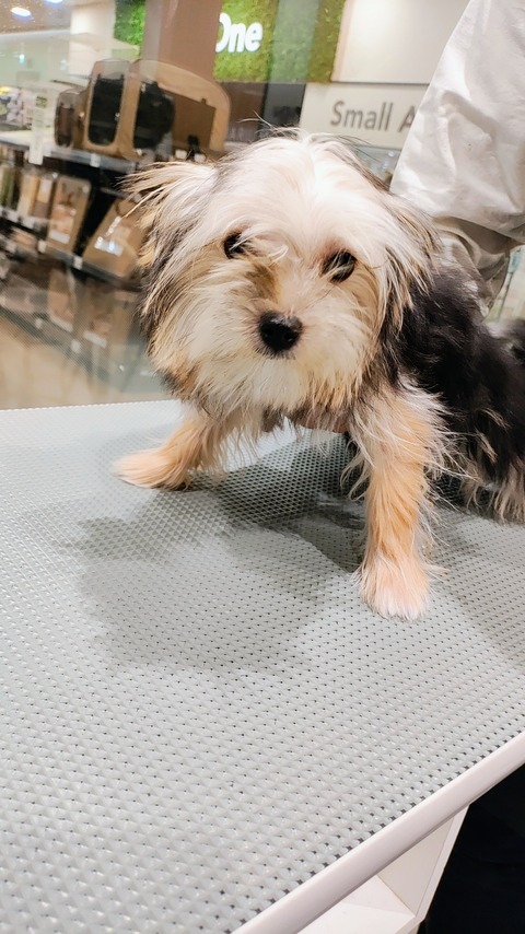 IMG_20260107_112946094_AE