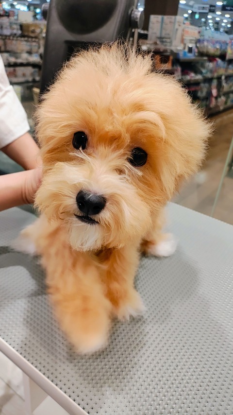 IMG_20260116_152039819_AE