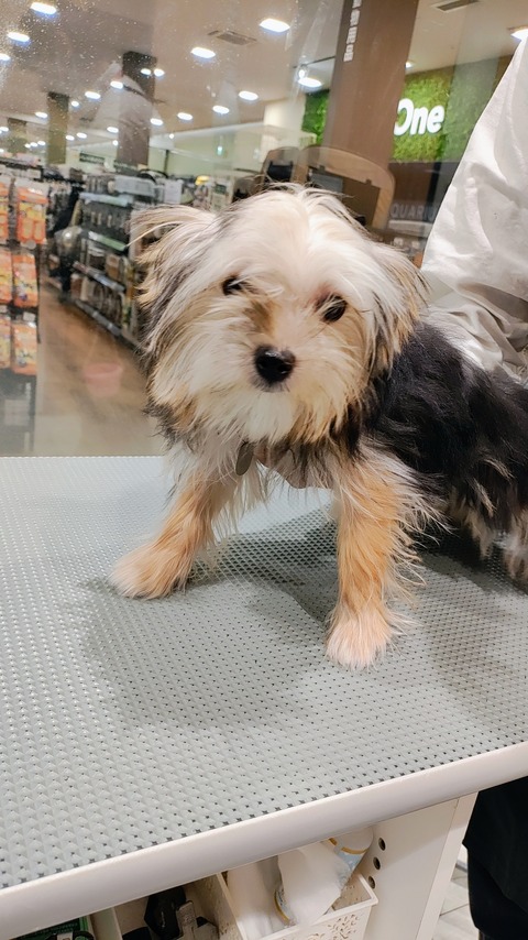 IMG_20260107_112948555_AE