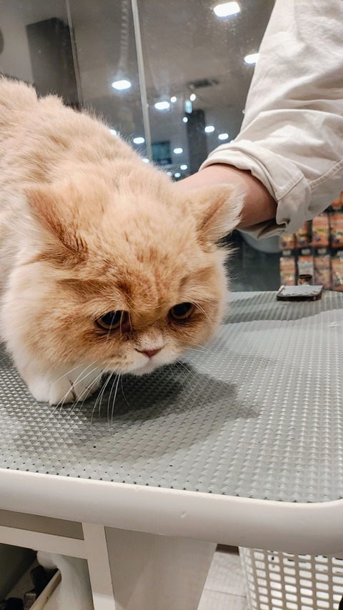 IMG_20260107_162418921_AE