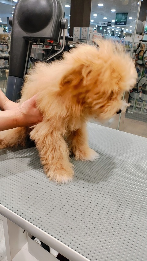 IMG_20260116_152037977_AE