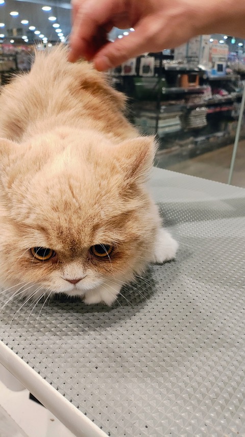 IMG_20260107_162424373_AE