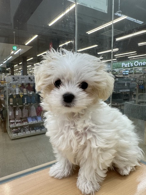 E04058A8-E9EC-4218-AD8D-9BB0534AC1D3