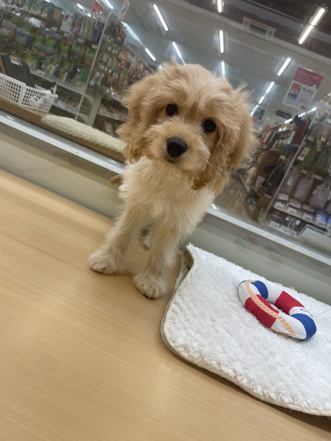 AEDBE814-C3B3-4307-B7D1-08D8A94121F7