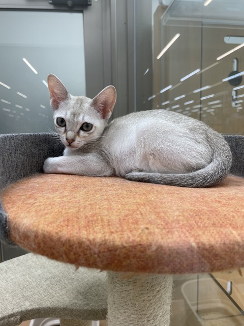 66F329FF-8EF7-4B8D-9D5C-D396E7D23427