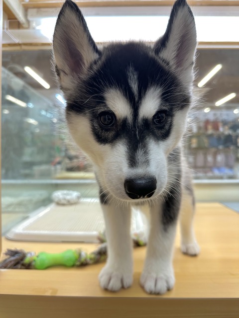 59BED876-01BE-42D1-B697-EBF85CA8FCA2