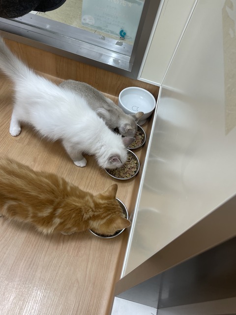 2BDF437B-0031-4347-B67D-7073517082D8