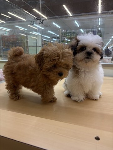 E80E7558-C41B-48AD-A583-43E75EDE37D3