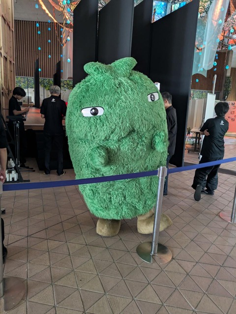 1e9cae99825c27afe7ee1039bc0ac43b-PXL_20250925_043435370