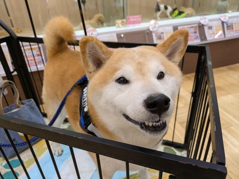 2a88a28bfe0fe2fd14d08e0cd455ae33-PXL_20251013_013741133