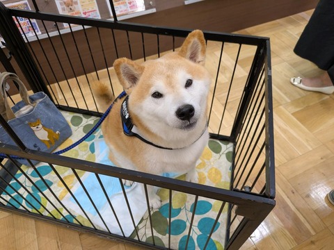 c21a332ed6014c2b24d5ed05e4cdf114-PXL_20251013_013745086