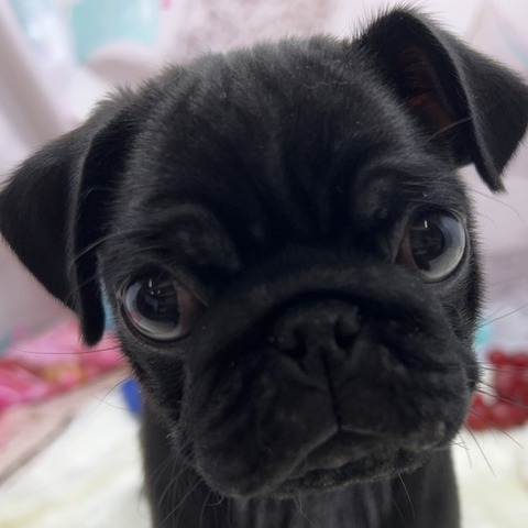 正方