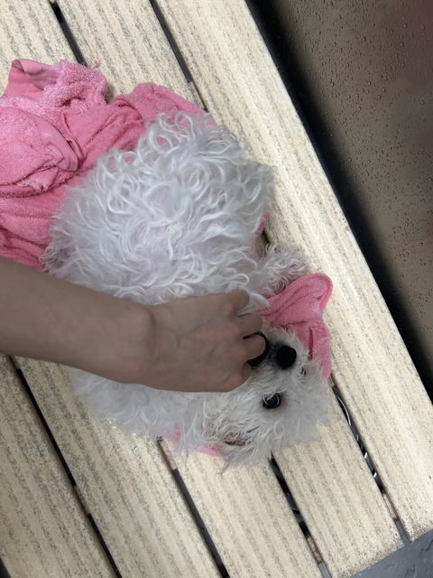 image0