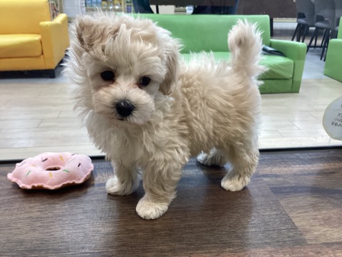 63842F79-CABC-4A83-BE7B-522C277A70E4