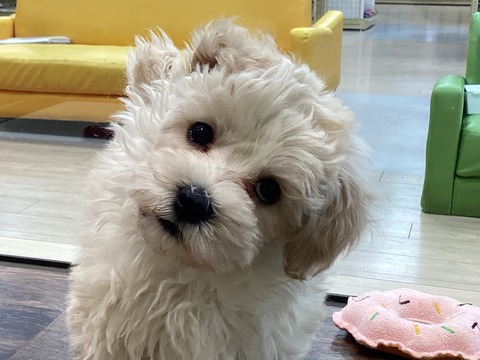 0704C747-66EF-4361-A0BD-DB34CAF61007