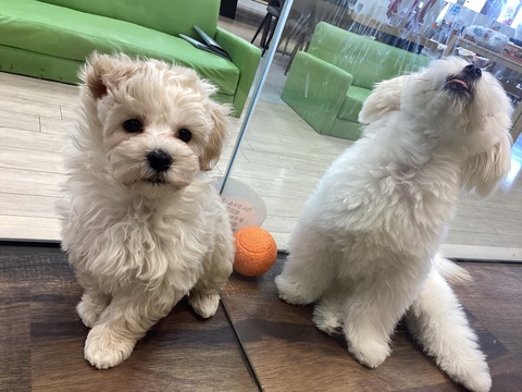 06EF3315-6321-4E49-B1A1-6A17897F646F