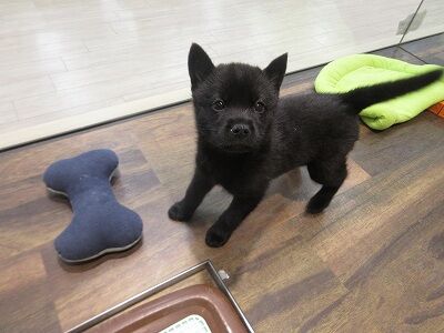 F7 5vtbrbu1upm F7 5vtbrbu1upm