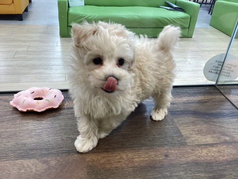 014EB459-00D4-486C-90CE-B21BC7A58FA2