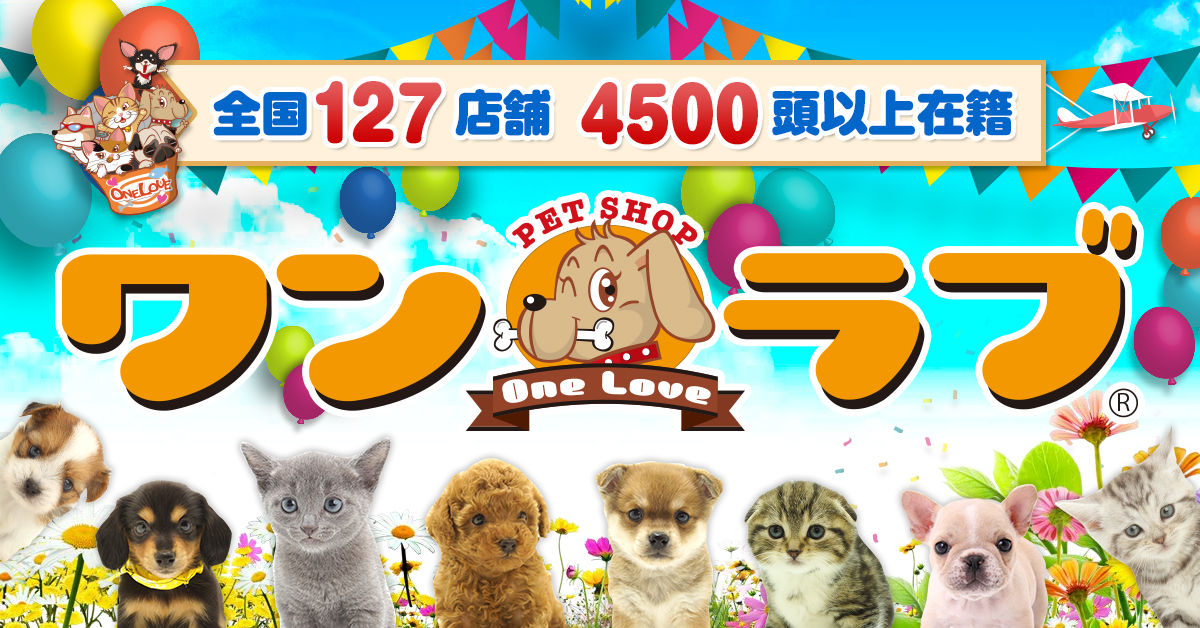 埼玉県熊谷市 ワンラブ カインズ熊谷籠原店 ブログ