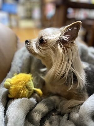 14BC19B5-6504-4B24-B201-9C35286C45F2