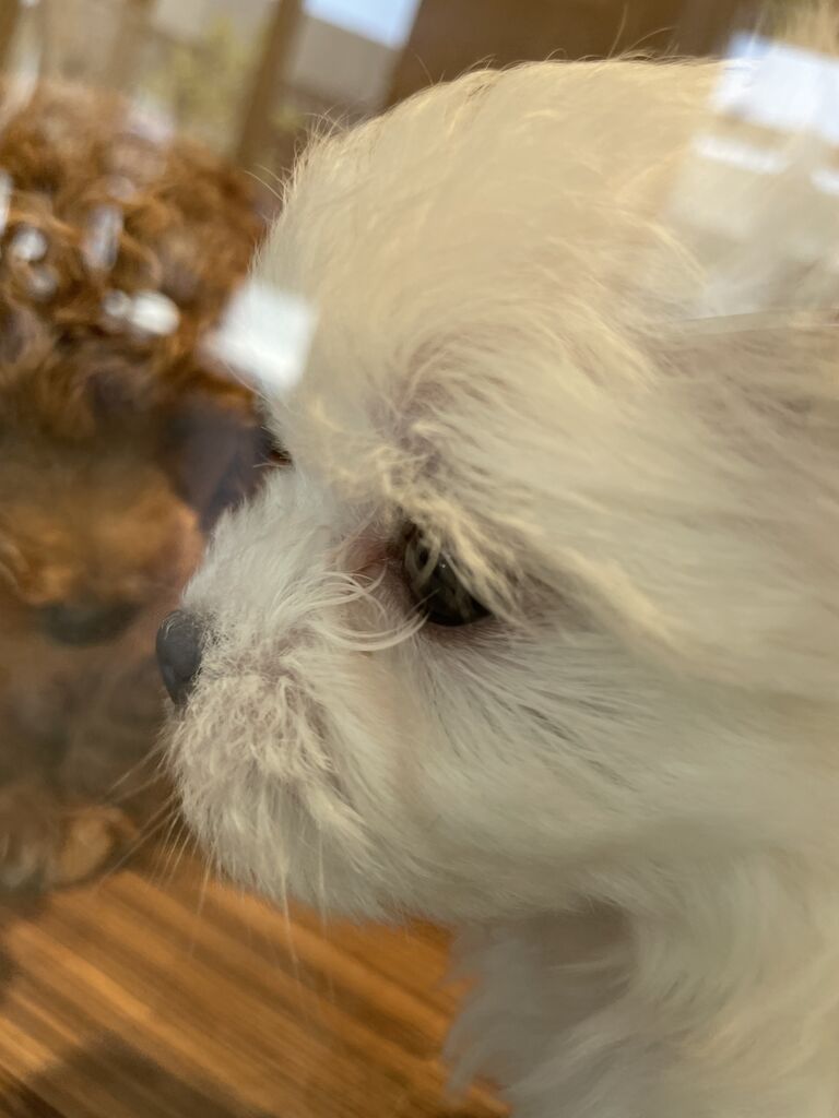 今週は ワンラブ アウトレット広島店𝐁𝐥𝐨𝐠