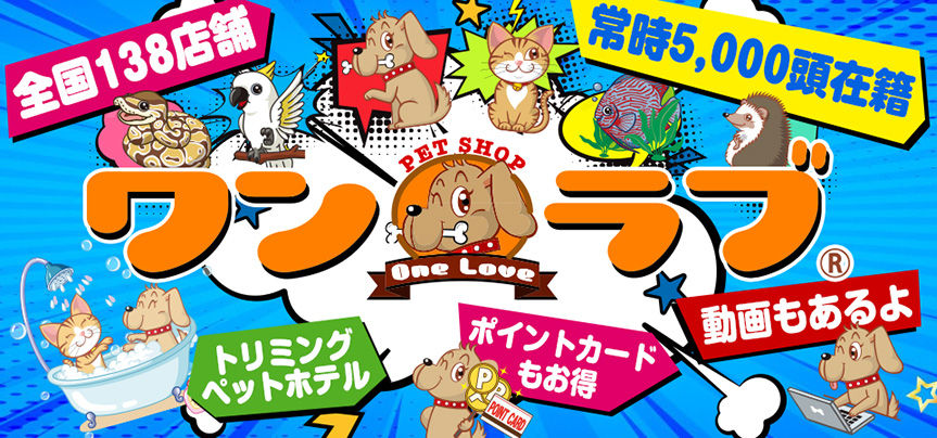ペットショップワンラブ カインズ名古屋当知店ペッツワンコーナースタッフブログ ペットショップワンラブ カインズ名古屋当知店ペッツワンコーナースタッフブログ