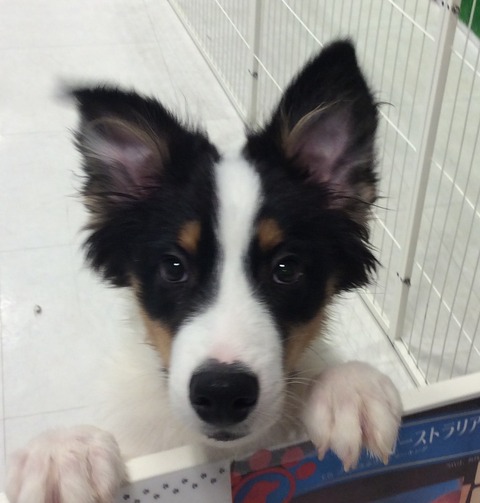 1FA9CA5F-DB0B-43FC-9DA7-B840497BB479