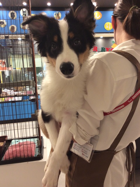 EBF941EA-5E12-40E0-A531-34B88784EA1F