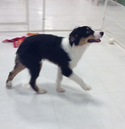 FE3AC653-D072-4478-BF38-F109ED440307