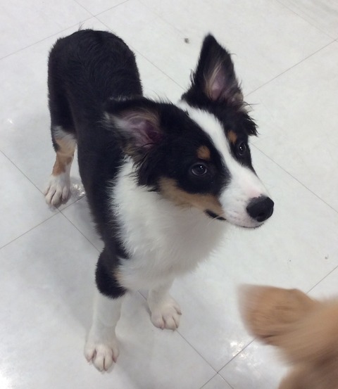 7D3E7CFE-51E6-43C7-9DFB-0CF1330574E6