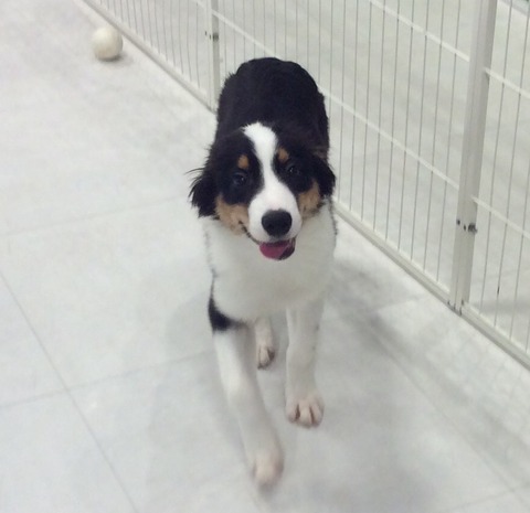 079EA9E1-D704-4C34-A6DC-7A652C7BC7DE