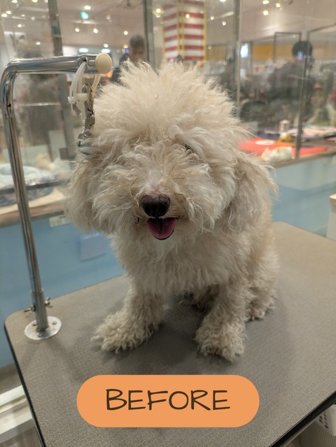 2026-02-01-09-00-00-518