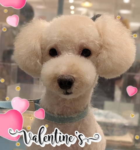 2026-02-01-09-06-22-948