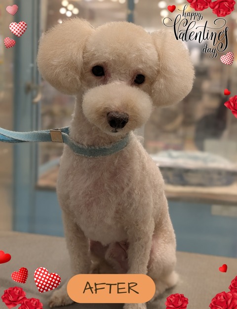 2026-02-01-09-04-35-341