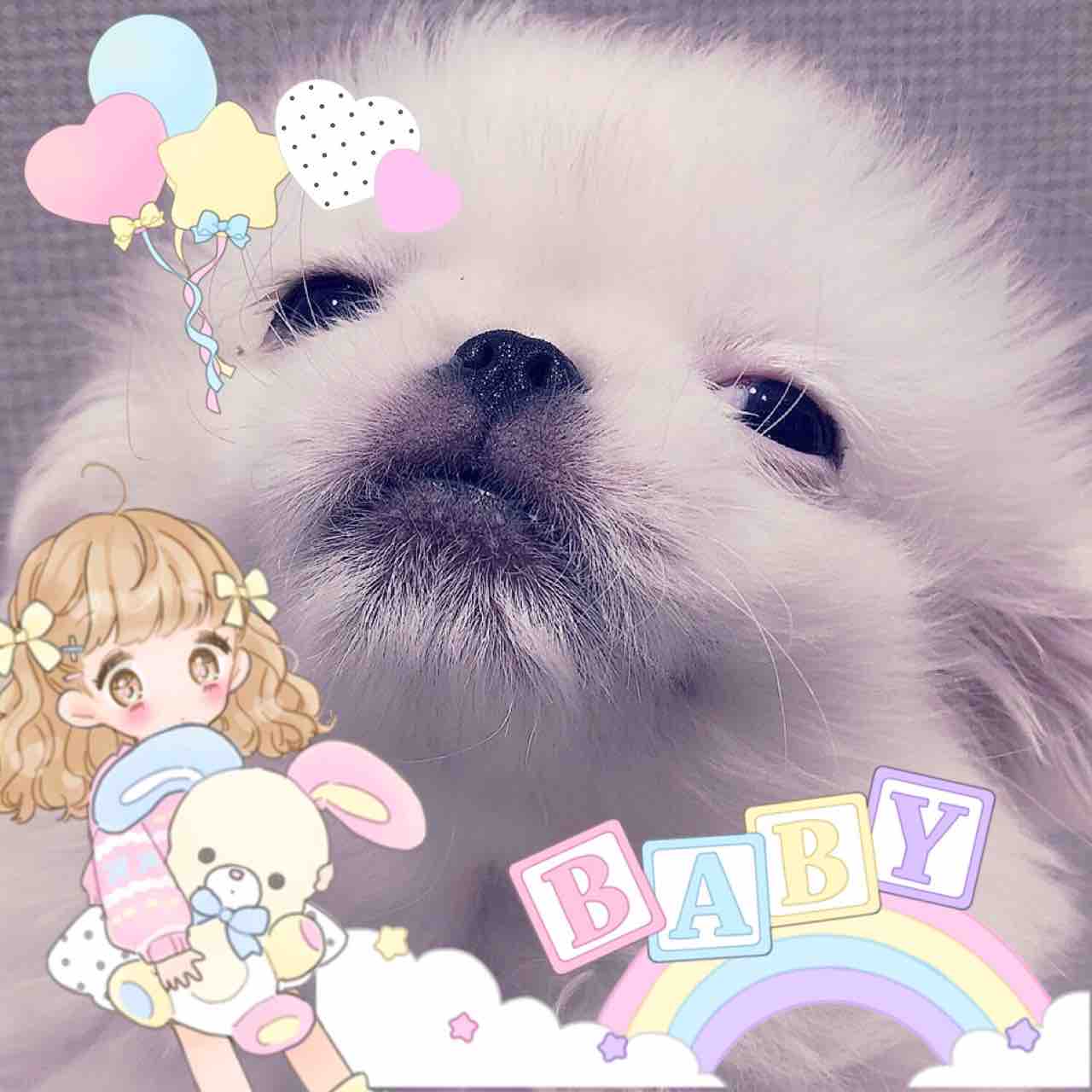 神奈川県海老名市 ペットショップ ワンラブ ららぽーと海老名店ブログ