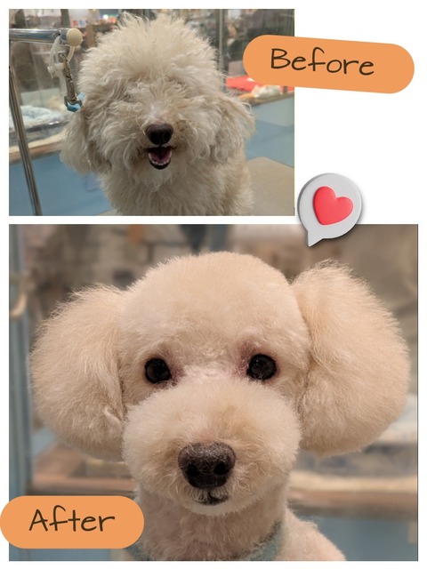 2026-01-31-20-01-57-802