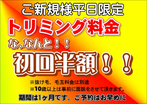 新規2