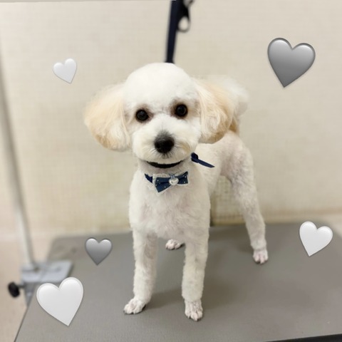 8EB7375A-930A-4319-9ACB-3AEE6FCD18B9