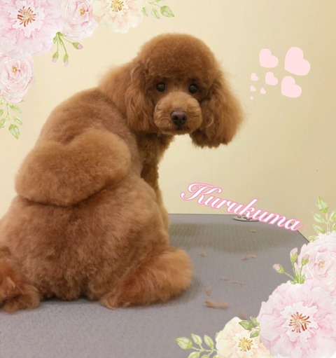 F07E521C-C043-43AD-BED8-61F78A7335E7