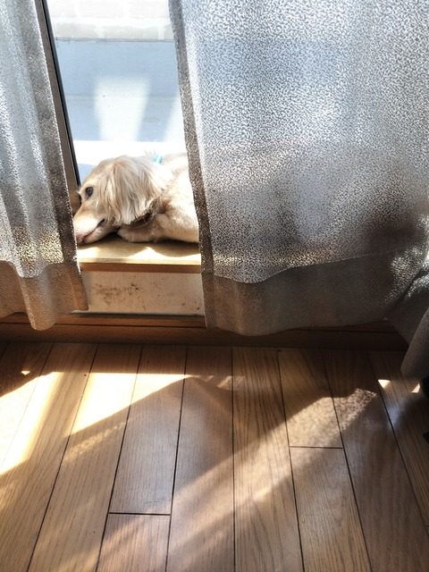 IMG20230904123214